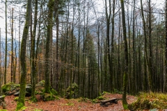 2X4A2550_900px_LobeyAdventure