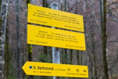 2X4A2562_900px_LobeyAdventure