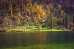 2X4A2628_900px_LobeyAdventure