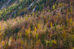 2X4A2633_900px_LobeyAdventure