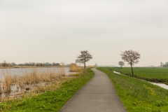 2X4A8977_900px