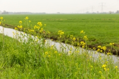 2X4A8981_900px