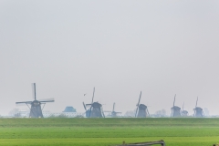 2X4A9031_900px