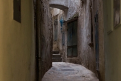 2X4A2085_900px