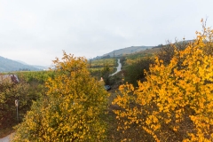 2X4A2108_900px