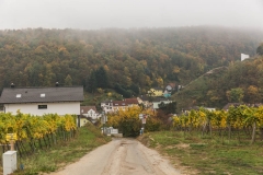 2X4A2150_900px